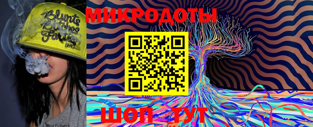 Галлюциногенные грибы Psilocybe Пенза